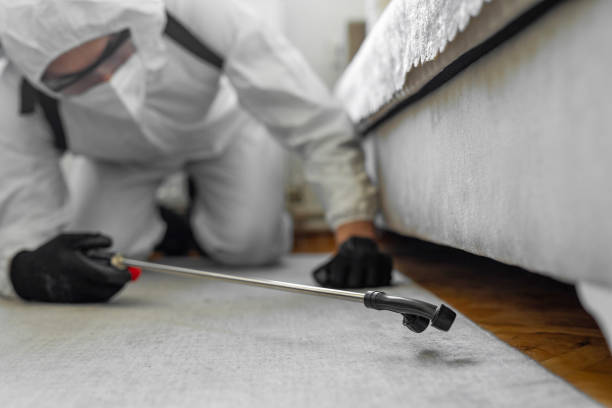 Professional Termite Control technician working in White Oak, TX