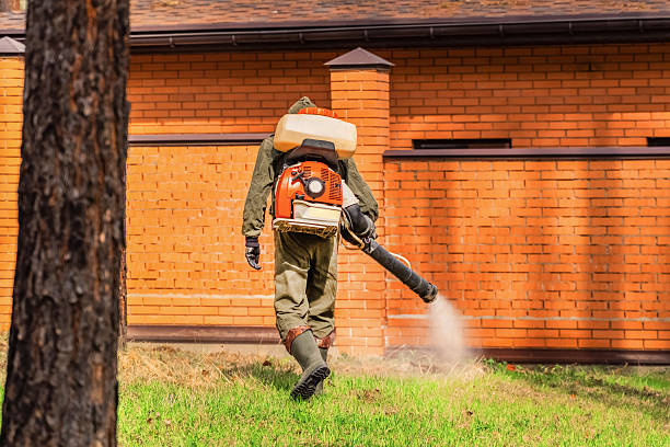 Trusted Termite Control service in White Oak, TX - Nex Pest Control